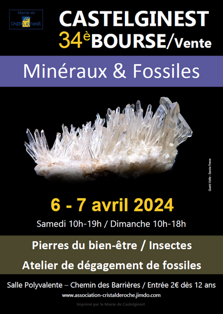 34me Bourse Vente Minraux Fossiles Pierres Du Bien-tre  Castelginest