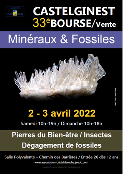 33ème Bourse Vente Minéraux, Fossiles Et Pierres Du Bien-être à Castelginest
