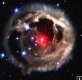 agenda.Toulouse-annuaire - Naissance, Vie Et Mort Des toiles