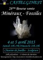 agenda.Toulouse-annuaire - 28 Bourse Vente Minraux Et Fossiles Castelginest