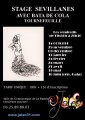 agenda.Toulouse-annuaire - Stage Svillanes Avec Bata De Cola Tournefeuille