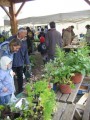 agenda.Toulouse-annuaire - Troc'plantes