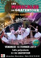 agenda.Toulouse-annuaire - Feerie Viennoise