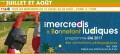 agenda.Toulouse-annuaire - Mercredi Ludique : Le Tournoi Des Chevaliers