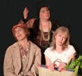 agenda.Toulouse-annuaire - Un Ouvrage De Dames De Jean-claude Danaud