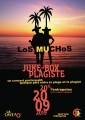 agenda.Toulouse-annuaire - Concert Juke Box Plagiste Los Muchos