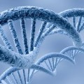 agenda.Toulouse-annuaire - Autour De La Biologie De Synthse