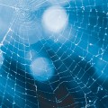 agenda.Toulouse-annuaire - Le Rois Se Meurt