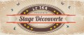 agenda.Toulouse-annuaire - Stage Dcouverte De Lindy Hop