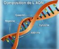 agenda.Toulouse-annuaire - La Rvolution Gntique