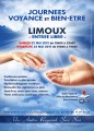 agenda.Toulouse-annuaire - Journes Voyance Et Bien-tre 2015