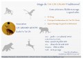 agenda.Toulouse-annuaire - Stage De Tai Chi Traditionnel Au Jardin Le Cabanial
