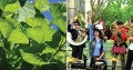 agenda.Toulouse-annuaire - Prsentation De Saison