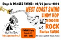 agenda.Toulouse-annuaire - Stage De Danses Swing (rock, Wcs, Lindy Hop)