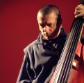agenda.Toulouse-annuaire - Paul Rogers Solo : Contrebasse 7 Cordes