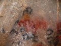agenda.Toulouse-annuaire - La Grotte De Gargas