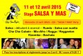 agenda.Toulouse-annuaire - Stage Et Tea Party Salsa Y Mas
