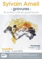 agenda.Toulouse-annuaire - Exposition Des Estampes De Sylvain Ameil