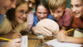 agenda.Toulouse-annuaire - Comment Enseigner Les Sciences De La Vie Et De La Terre ?