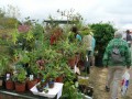agenda.Toulouse-annuaire - 1er Vide Jardin Du Pays Tolosan
