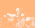 agenda.Toulouse-annuaire - Mahmoud Darwich Et La Terre Comme La Langue