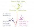 agenda.Toulouse-annuaire - Les Origines De La Vie Sur Terre