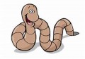 agenda.Toulouse-annuaire - Infections Parasitaires : Faut-il Aimer Nos Ennemis ?