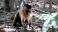 agenda.Toulouse-annuaire - Les Outils Animaux