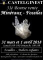 agenda.Toulouse-annuaire - 31 Bourse Vente De Minraux Et Fossiles  Castelginest (31780)