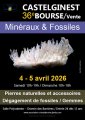 agenda.Toulouse-annuaire - 36�me Bourse Vente Min�raux Fossiles Pierres Naturelles � Castelginest