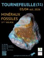 agenda.Toulouse-annuaire - 37�me Bourse Aux Min�raux Et Fossiles