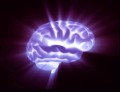 agenda.Toulouse-annuaire - Le Cerveau Et Son Potentiel Infini