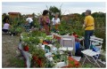 agenda.Toulouse-annuaire - Vide-jardin Route De Tarbes 31170 Tournefeuille
