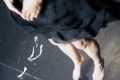 agenda.Toulouse-annuaire - X-time - Cie Alise