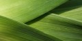 agenda.Toulouse-annuaire - La Cuisine De Marguerite