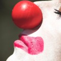 agenda.Toulouse-annuaire - Polit'circus