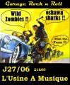 agenda.Toulouse-annuaire - Wild Zombies - Oshawa Sharks