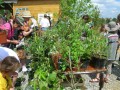 agenda.Toulouse-annuaire - Troc'plantes  Tournefeuille
