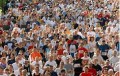 agenda.Toulouse-annuaire - Les Sciences Sociales