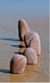 agenda.Toulouse-annuaire - Nature Et Politique