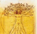 agenda.Toulouse-annuaire - L'aventure Du Vivant Comme Transcendance