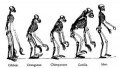agenda.Toulouse-annuaire - Chosmo Sapiens, Une Redfinition volutionniste De L'homme