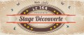 agenda.Toulouse-annuaire - Stage Dcouverte De Rock Et Salsa