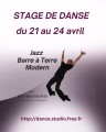agenda.Toulouse-annuaire - Stage De Danse Vacances De Printemps Avec Nick Blumenfeld