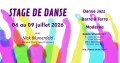 agenda.Toulouse-annuaire - Stage De Danse D'�t� Avec Nick Blumenfeld Au Dance Studio � Toulouse