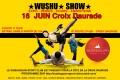 agenda.Toulouse-annuaire - Wushu Show