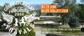 agenda.Toulouse-annuaire - Cool Dance Camp The Stage De Danses De L't !
