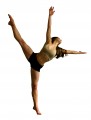 agenda.Toulouse-annuaire - Stage De Danse