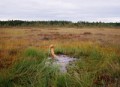 agenda.Toulouse-annuaire - Antti Laitinen ( Finlande) - Photo - Video