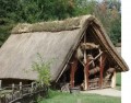agenda.Toulouse-annuaire - Les Tectosages De Toulouse